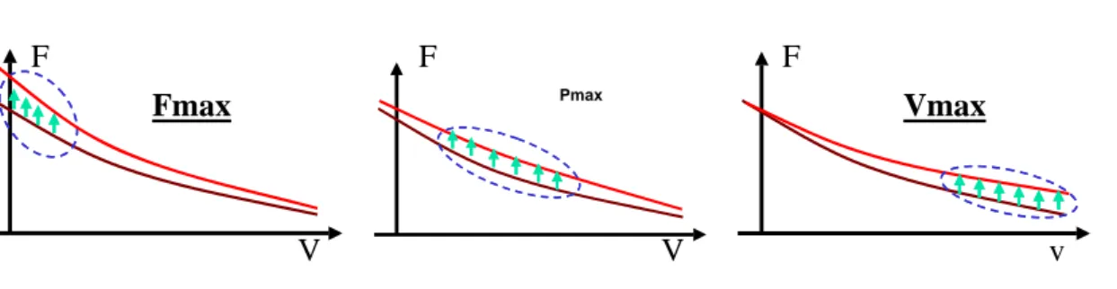 Figure 1 – relation force-vitesse et influence spécifique théorique de 3 procédés d’entraînement :   Fmax, Pmax et Vmax