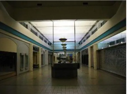 Figure 15 Un dead mall à Cincinnati (Etats-Unis). Source : http://deadmalls.com/malls/beechmont_mall.html   
