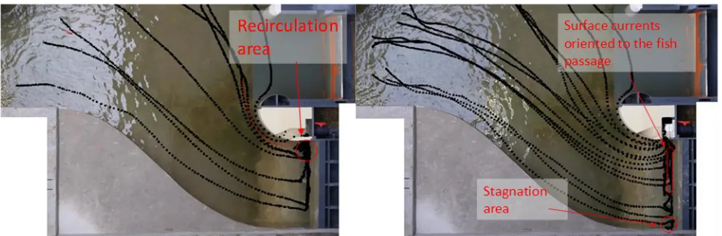 Figure 6. Observed floats trajectories upstream of Grands Malades HPP fish passage. Initial fish passage  design (left) and optimized one (right) 