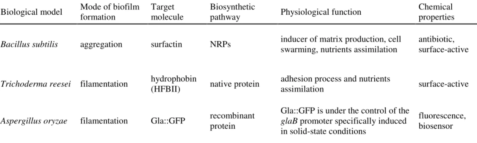 Table 1 : Characteristic features of biological models and target molecules selected for the design of the single-species BfR