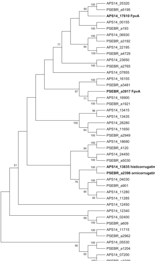 Fig. 5 Phylogenetic relationships among amino acid sequences of all the putative TonB-dependent receptors of P