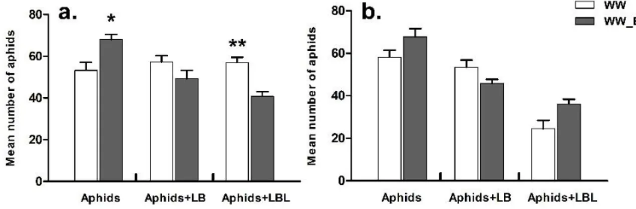 Figure 7 Mean number of aphids (± SE) on all lines (source and receptor lines) found (a) two hours and (b)  24 hours after the experiment started (LB: ladybeetle adults, LBL: ladybeetle larvae)
