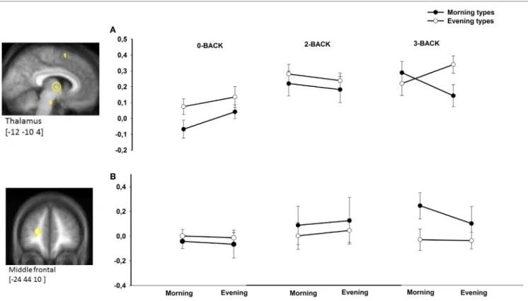 FigUre 2 | BOlD responses in the thalamus (a) and middle frontal gyrus (B) in morning compared with evening types during subjective morning and  evening sessions according to working memory load (n0, n2, n3)