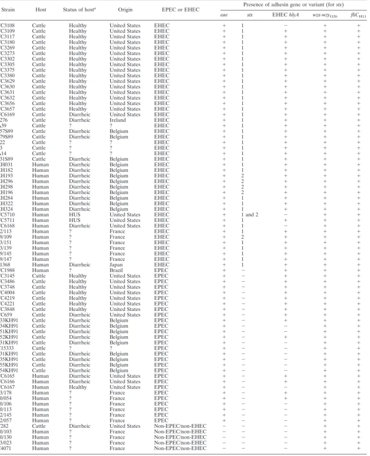 TABLE 1. Serotypes, sources of isolation, geographical origins, and pathotypes of tested strains