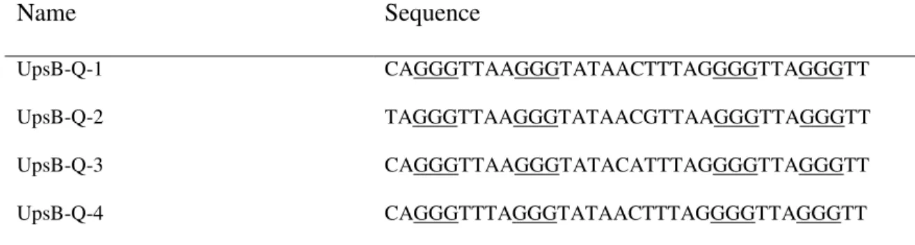 Table 2. Sequence of the PQS from the var gene upstream B regions of P. falciparum Name Sequence UpsB-Q-1  CAGGGTTAAGGGTATAACTTTAGGGGTTAGGGTT  UpsB-Q-2  TAGGGTTAAGGGTATAACGTTAAGGGTTAGGGTT  UpsB-Q-3  CAGGGTTAAGGGTATACATTTAGGGGTTAGGGTT  UpsB-Q-4 CAGGGTTTAGGG