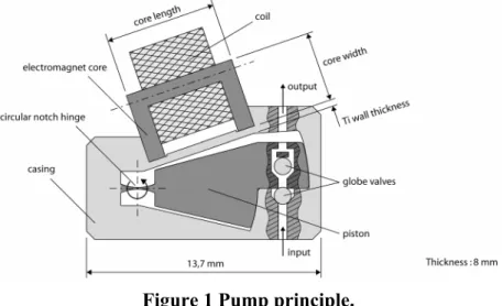 Figure 1 Pump principle. 
