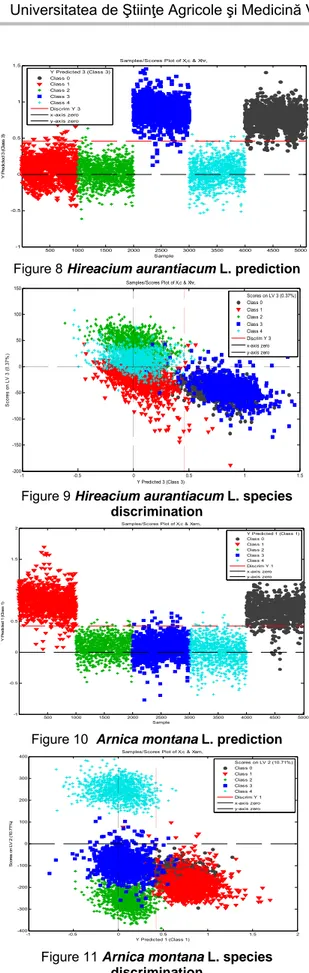 Figure 8 Hireacium aurantiacum L. prediction 