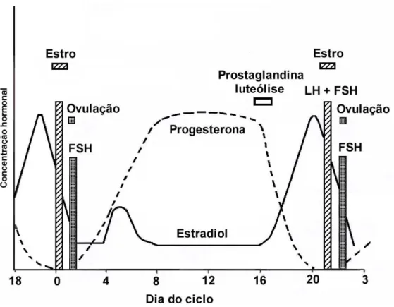 FIGURA 2 -   Representação  esquemática  das  alterações  das  concentrações  hormonais durante o ciclo estral de bovinos