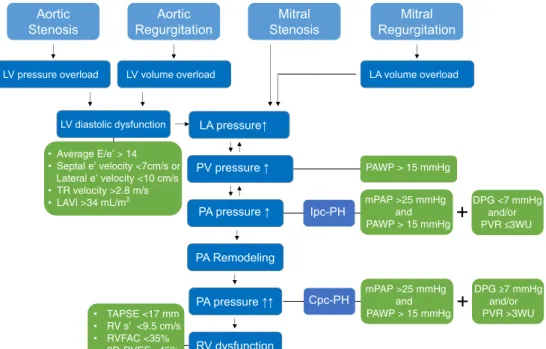 Fig. 1 Mechanisms for development of pulmonary hypertension due to valvular heart disease
