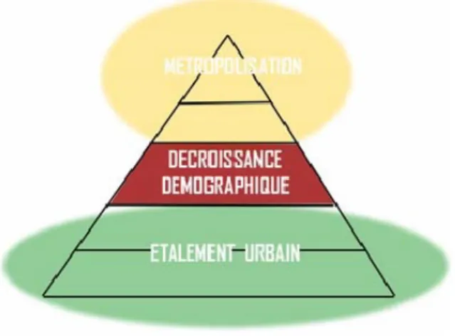 Figure 3 : Pyramide du phénomène urbain : hiérarchisation des villes en fonction du  nombre  de  leurs  habitants,  au  sommet  les  plus  grandes  agglomérations,                      source :  Direction de la Prospective, Métropole de Lyon 