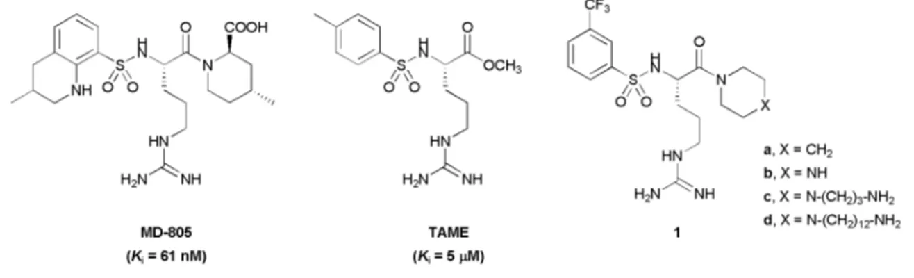 Fig. 1 Thrombin inhibitors.