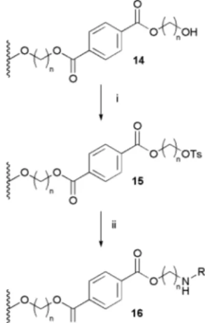 Table 5 Atomic surface composition of modiﬁed polymers analyzed by XPS