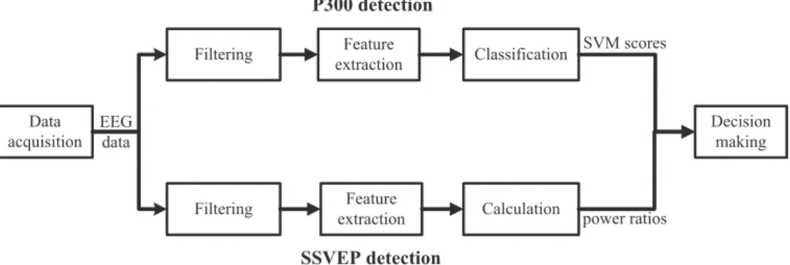 Figure 3. The data processing procedure for the P300 and SSVEP detections. In the hybrid BCI system, the EEG data were fed into two different data processing procedures simultaneously, one for P300 detection and the other for SSVEP detection