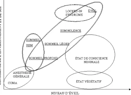 Figure 1 Corrélation du niveau d’éveil avec la conscience de soi et de l’environnement.