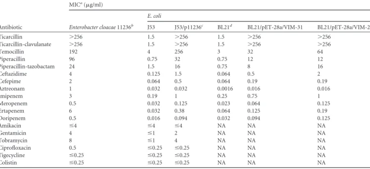 TABLE 2 Kinetic parameters of VIM-31 and VIM-2 enzymes