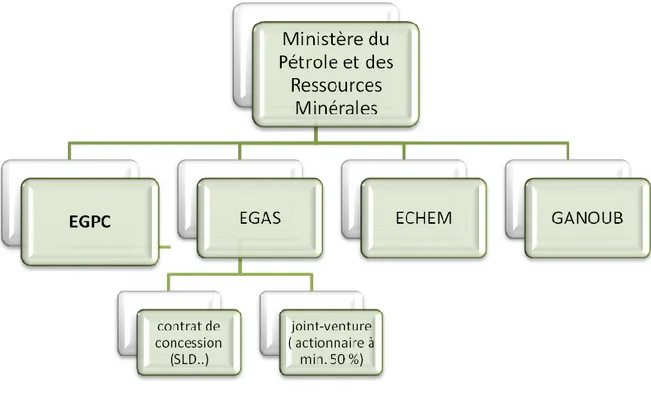Figure 11 : schéma de la structure économique du secteur gazier en Egypte  