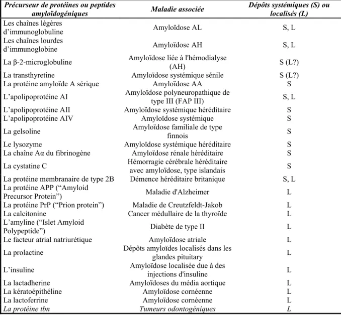 Tableau I : Précurseurs de protéines ou peptides amyloïdogéniques chez l’homme et maladies  associées (Westermark P