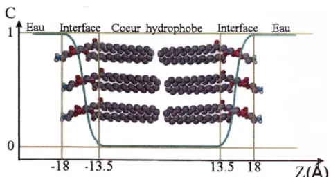 Figure 33 : Schéma de la bicouche modélisée utilisée dans IMPALA. La fonction C(z) est  représentée en bleu, les traits jaunes horizontaux correspondent aux limites inférieure et  supérieure de la fonction C(z) et les traits jaunes verticaux, aux trois zon