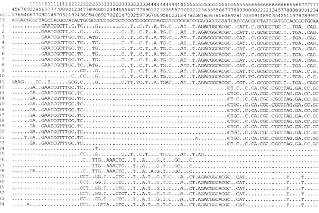 Fig. 1. Polymorphic sites detected in the different alleles of the oprI, oprL and oprD genes of 73 P