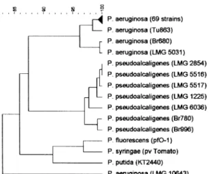 Fig. 2. Sequence similarity trees ( UPGMA ) based on the comparison of the oprI and oprL nucleotide sequences of the 73 studied P