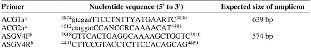 Fig. 1. Apple stem grooving virus (ASGV) genome map, according to Magome et al. (12), showing the location of degenerate primers (ACG1a-ACG2a) and specific primers (ASGV4F-ASGV4R) used in this study