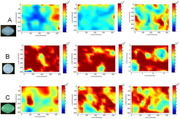 Figure 3: Raman Microspectroscopy imaging maps of representative illegal samples. Three maps in the spectral  region  of  200-1800cm -1  taken  at  different  positions  of  the  core  of  three  illegal  samples  are  presented  with  the  corresponding s