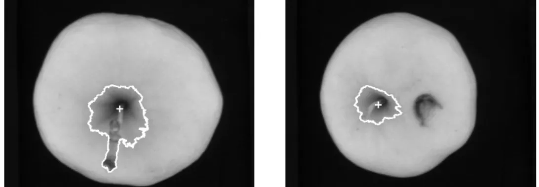 Figure  2  shows  an  example  of  fruit  presenting  a  defect  that  is  difficult  to  detect  with standard RGB cameras but that was well classified with the new method.