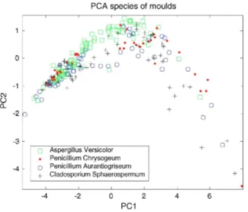 Fig. 6: Same PCA projection as in Fig. 4 regarding the four different species of moulds on first dataset of every  mould