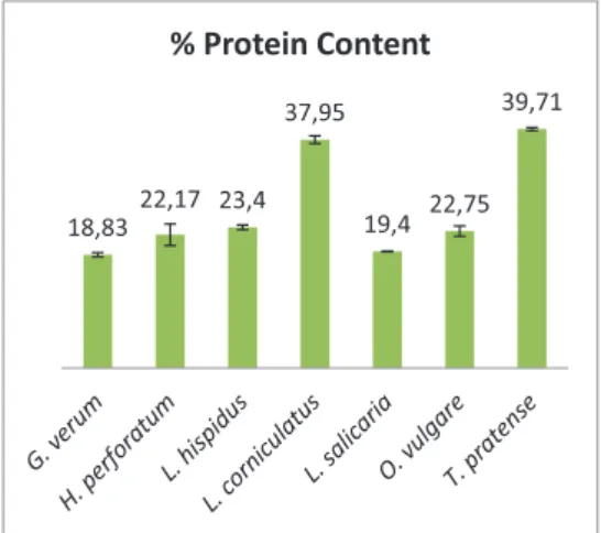 Figure 2. Protein content (%) of seeds on dry basis. 