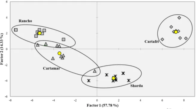 Fig. 1. Two dimensional PCA plot of the studied saf ﬂ ower varieties (Rancho, Cartamar, Cartafri and Sharda) using the whole data set of analytical meal variables obtained.
