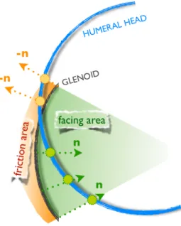 Figure  1  -  Description  of  the  process  of  matching  between  the  vertices of the glenoid (grey curve) and of the humeral head (blue  curve)