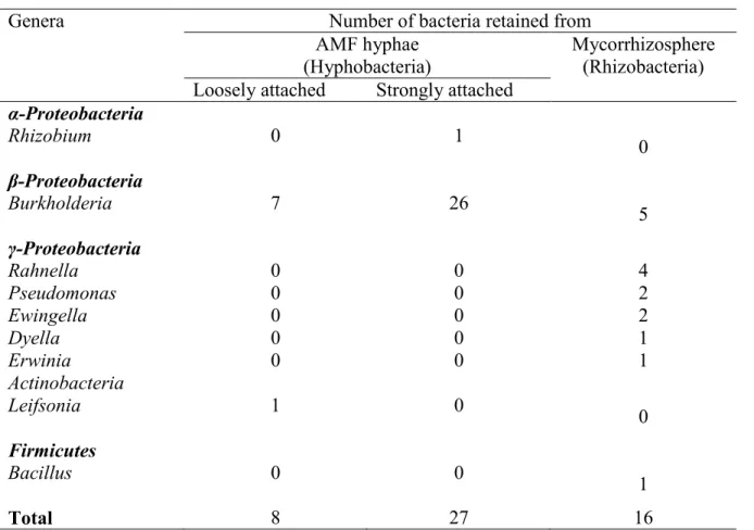 Table  2.2.  Origin  of  the  51  selected  PSB  trapped  to  AMF  hyphae  or  isolated  from  the  mycorrhizosphere of the soils used in this study
