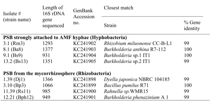 Table 2.3. Identification of the selected PSB isolates by sequencing of the 16S rDNA.  Isolate #  (strain name)  Length of  16S rDNA gene  sequenced  GenBank  Accession no