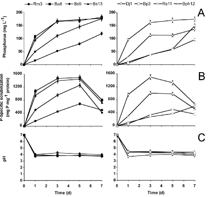 Figure 2.1 : (A) Soluble phosphate; (B) specific phosphate solubilization activity, LSD 0.05