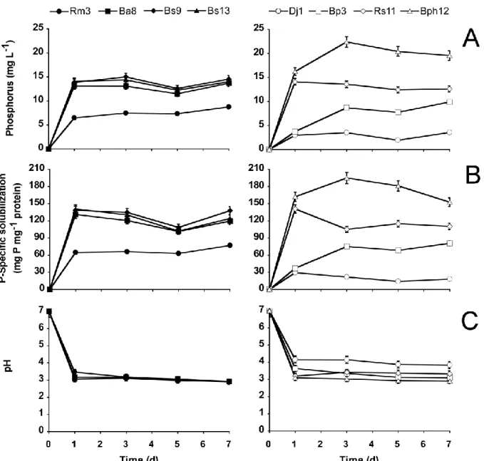 Figure 2.2 : (A) Soluble phosphate; (B) specific phosphate solubilization activity LSD 0.05