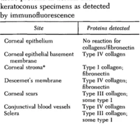 Table I. Distribution of ocular connective tissue proteins in normal and