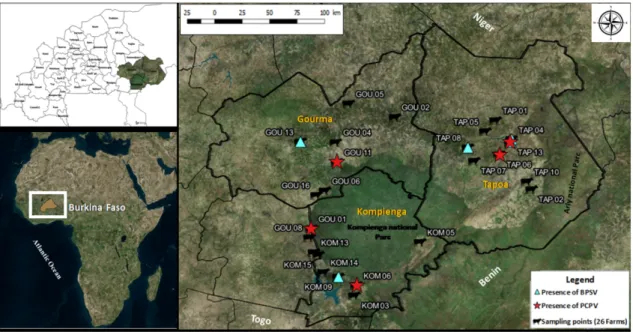 Figure 1. Localization of tick collection and positive pools of ticks in the study area (Eastern Burkina  Faso) Gou: Gourma; Kom: Kompienga; Tap: Tapoa
