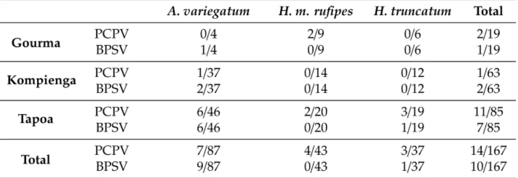 Table 3. Parapoxvirus detection in pools of ticks collected in each province of eastern Burkina Faso.