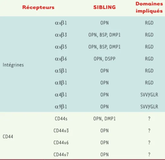 Tableau I. Récepteurs de surface cellulaire liant les protéines SIBLING.