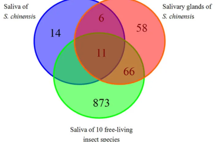Figure 2. The Venn diagram of identiﬁed salivary proteins in the Chinese gall aphid and ten free-living insect species.