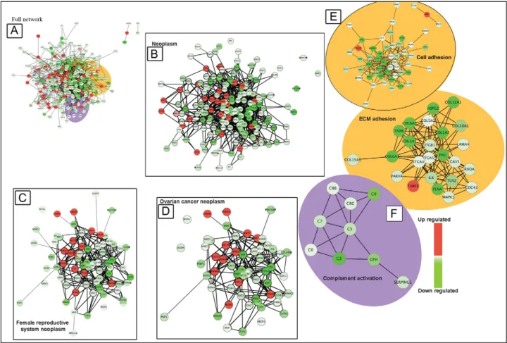 Figure 6. Interaction networks of proteins common between serous ovarian and tubal cancers
