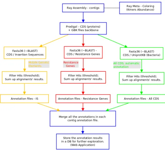 Figure 4.1 – Diagramme représentant les étapes du pipeline d’annotation.