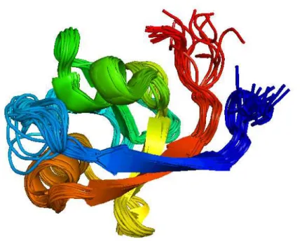 Figure 3.9: NMR structure of disordered regions. This protein has three disordered regions : the two red and dark-blue terminal parts in the upper-right part, and the  light-blue loop on the left of the figure