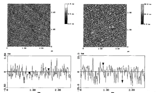 Figure 2. SFM image of a pure alkaline pretreated silicon substrate without any protein treatment at a  scan area of 2.5 µ.m x 2.5 µm (rms-roughness around 0.1 nm) and an SFM image of a silicon substrate  containing an adsorbed polyampholyte layer without 