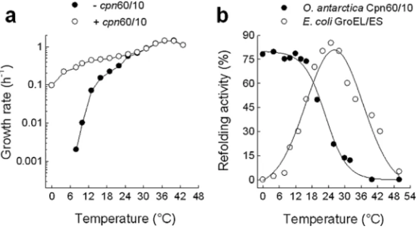 Fig. 6. In vivo and in vitro properties of the chaperonins of Oleispira antarctica.
