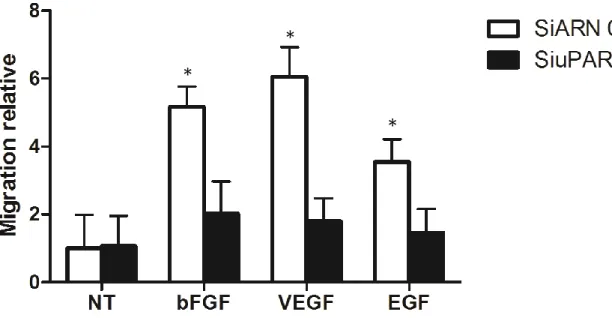 Figure  18:  Le  bFGF,  le  VEGF  et  l’EGF  requièrent  l’uPAR  pour  induire  la  migration  des  cellules endothéliales