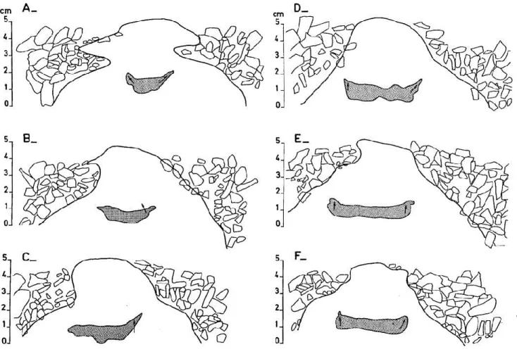 Figure  3.  Dessins  montrant  les  déformations  subies  par  une  couche  colorée  disposée  horizontalement  dans  le  matérial  fin  du  polygone  montré  à  la  figure  1