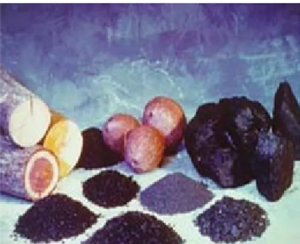 Figure 5: Different materials used in activated carbon production. 