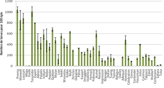 Tableau 7.1 – Niveau d’infestation de 50 variétés de froment classées par ordre de précocité  décroissant