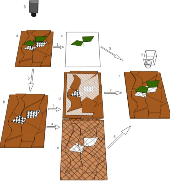 Figure 4. Process for determining plant height parameter 